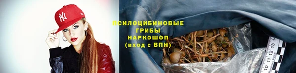 СК Балахна